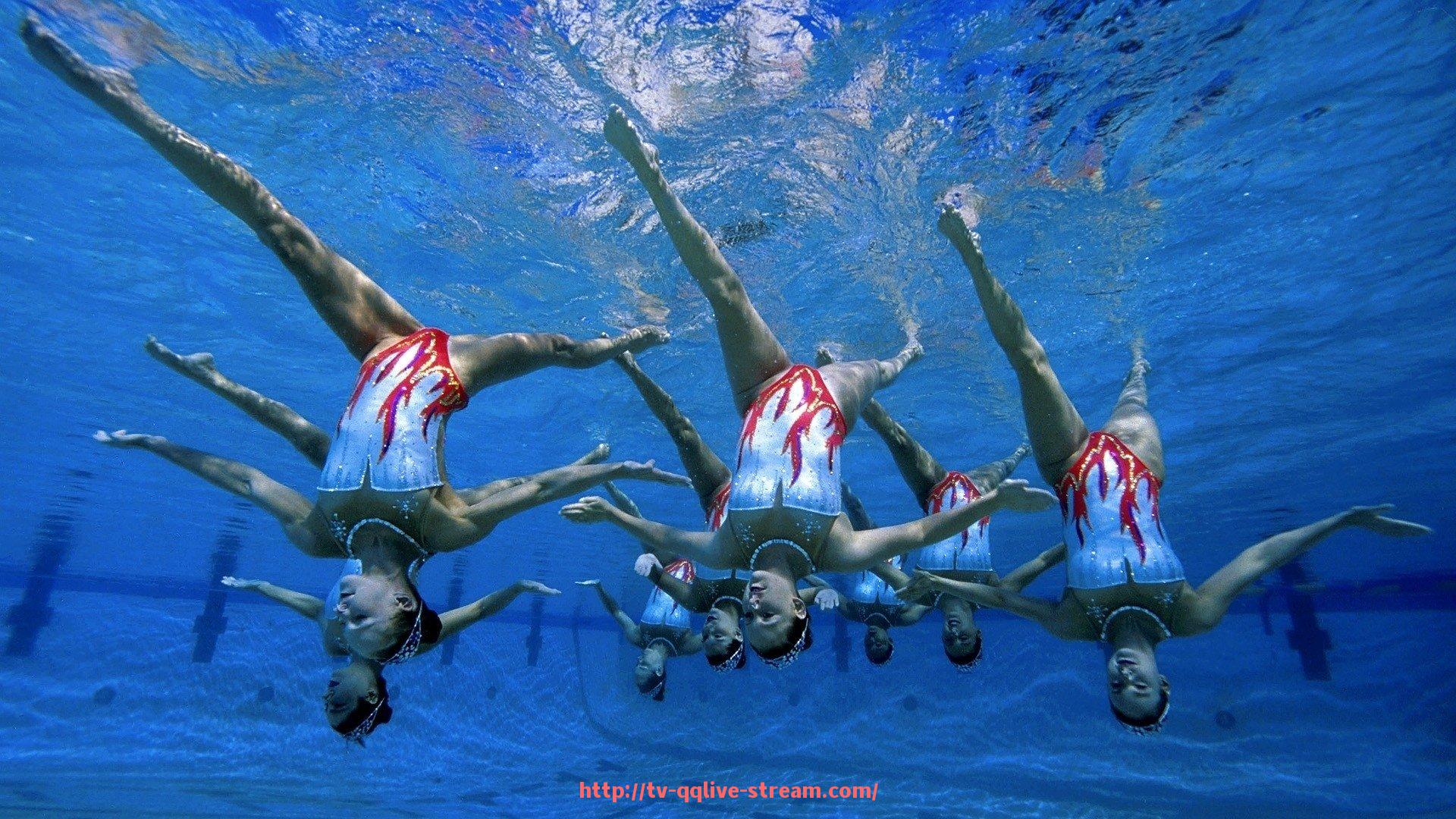 企鹅直播-往前滑的健身器材有哪些?功能与训练效果解析