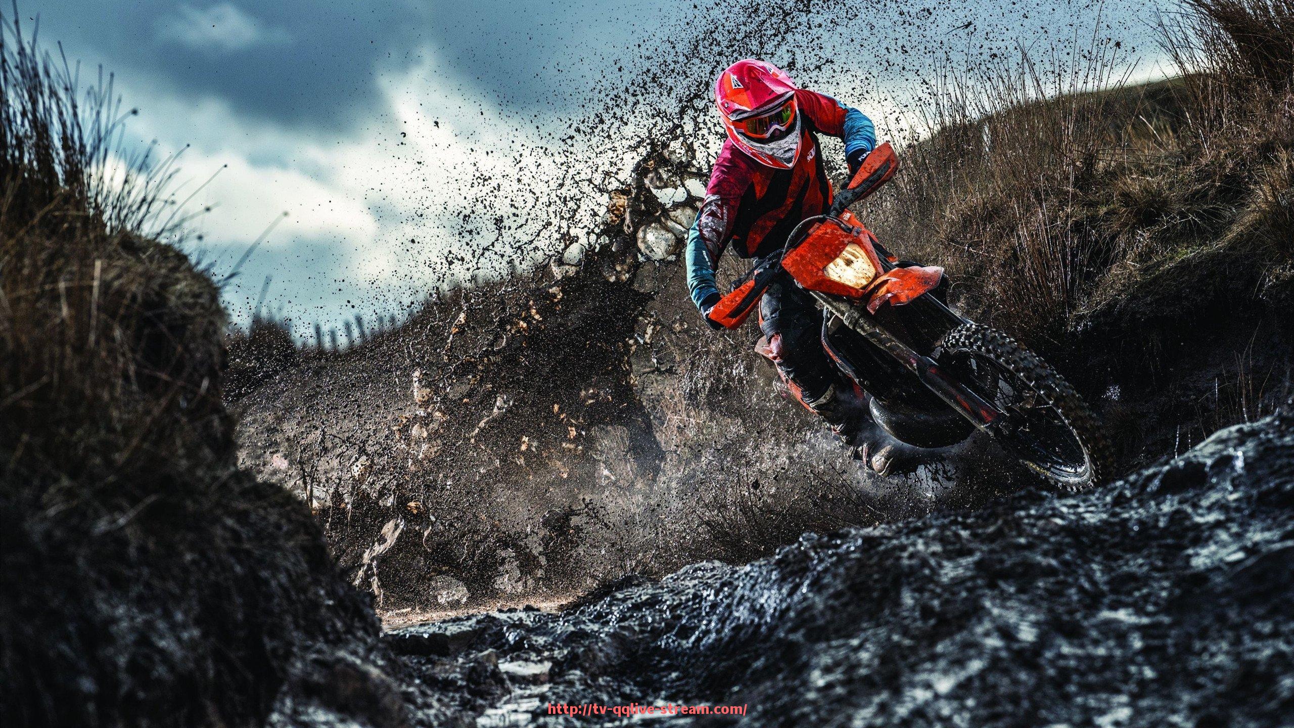 企鹅直播-青岛欧冠看球指南及观赛体验分享